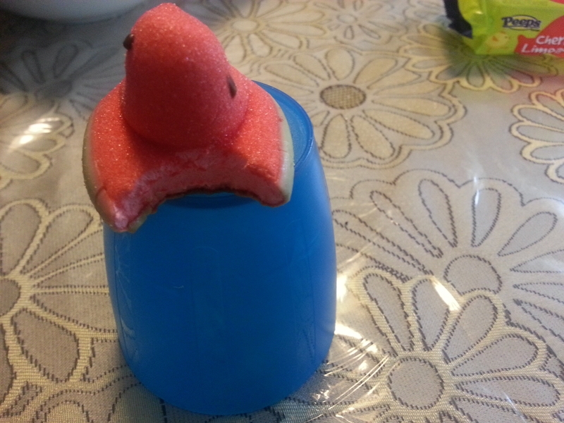 I should have known things would go awry. Never trust a peep who looks at you with such disdain.